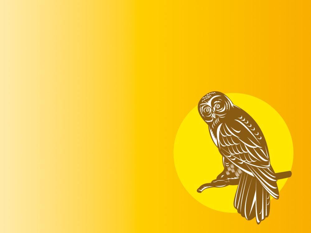 free owl clipart wallpaper - photo #24