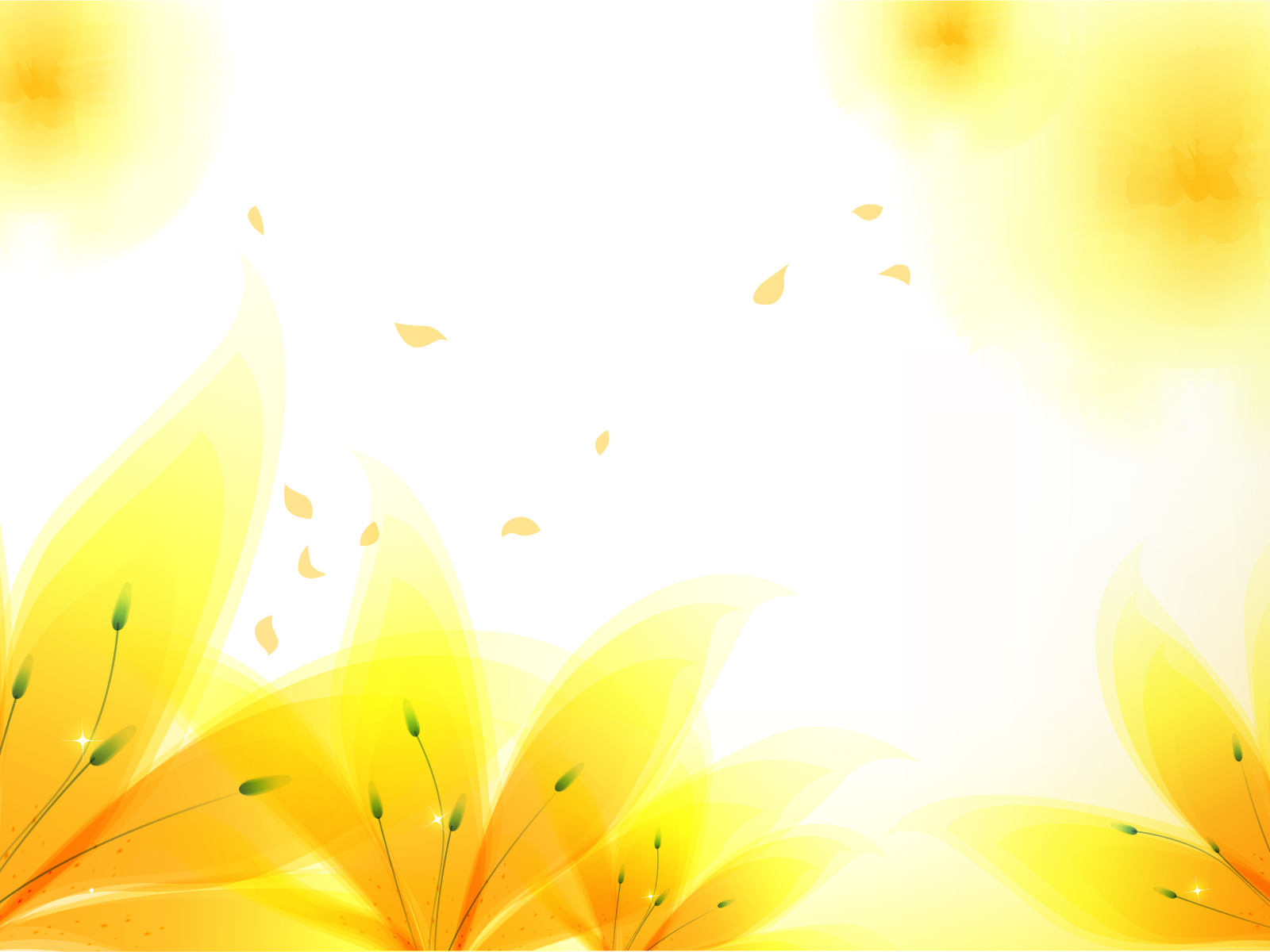 yellow flower background images