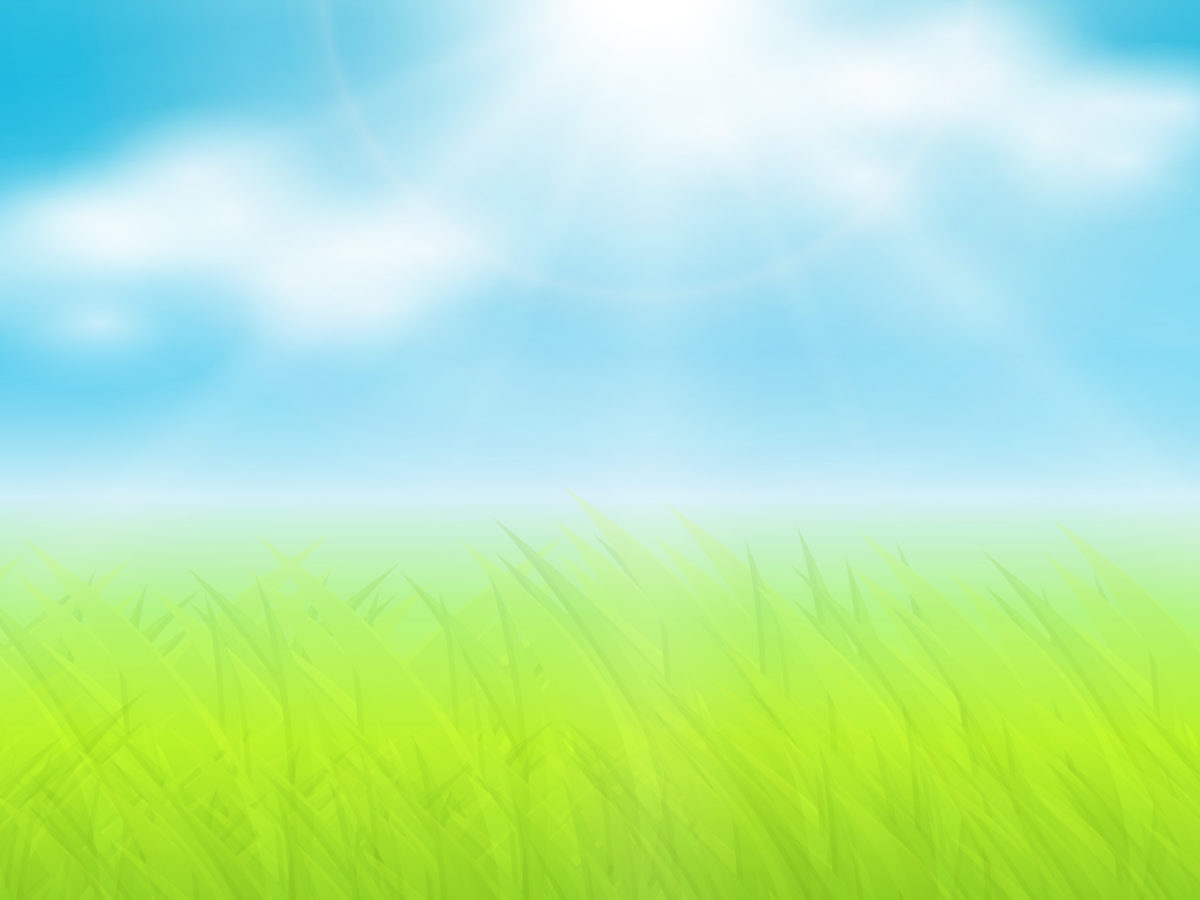 Grass and sun Backgrounds | Blue, Colors, Design, Green, Nature, White ...