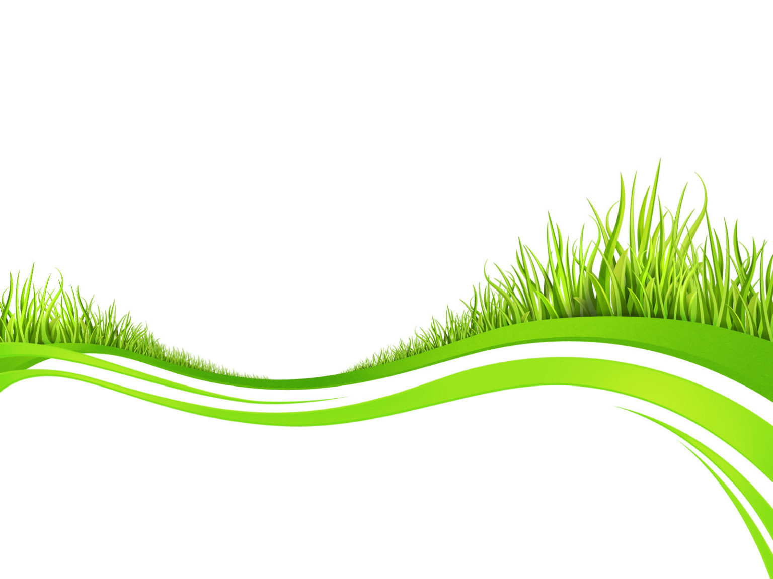 Spring Fresh Plant Grasses Backgrounds Green Nature White Templates Free Ppt Grounds 5030