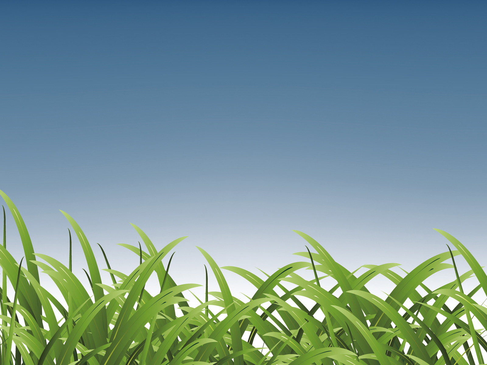 Grass for Sports Backgrounds | Sports Templates | Free PPT ...