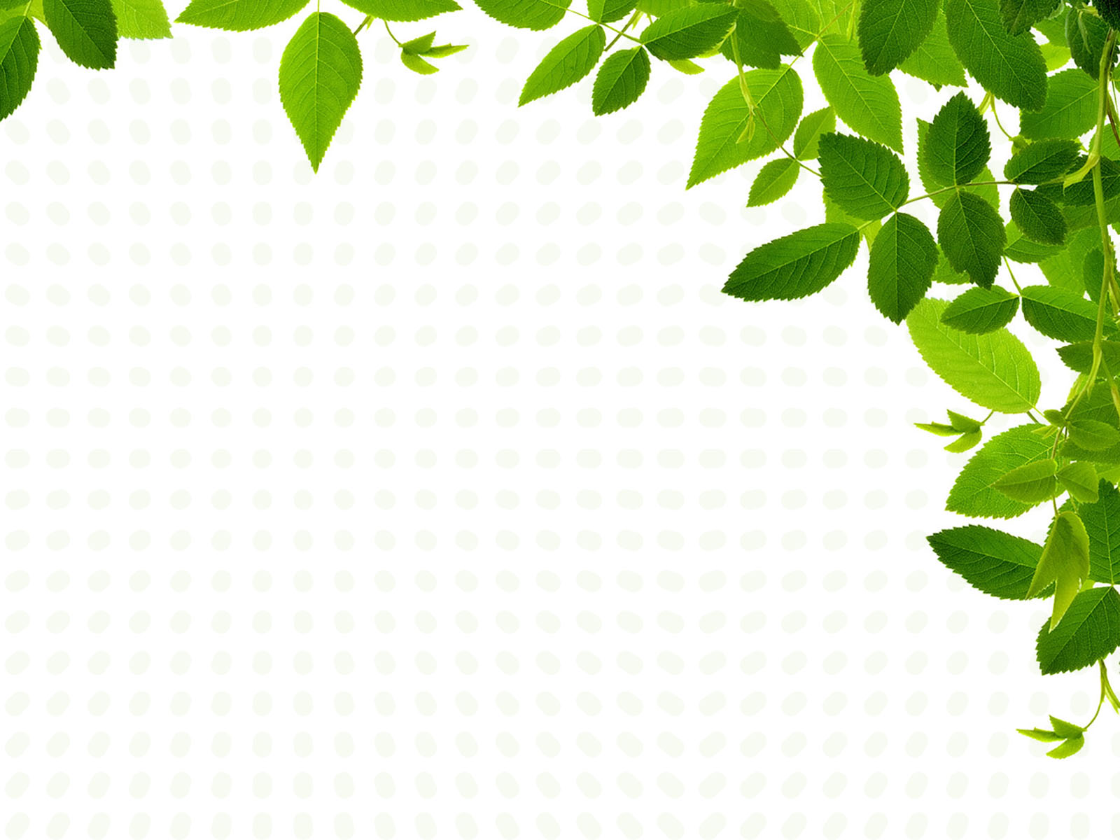 Real Leaves Backgrounds | Nature Templates | Free PPT Grounds