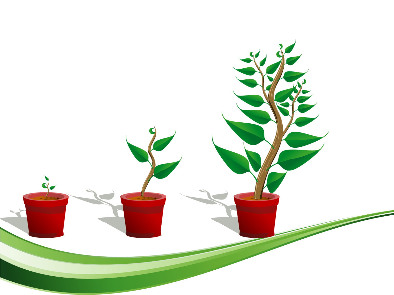 Plants PowerPoint Background