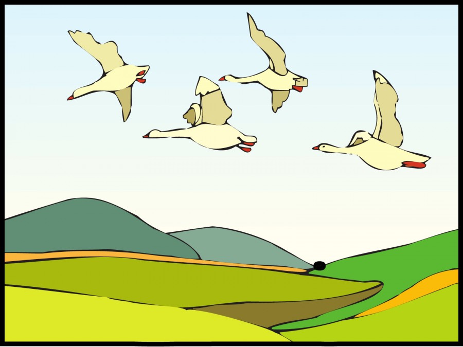 Geese Flying Over Landscape Backgrounds | Animals, Nature Templates ...