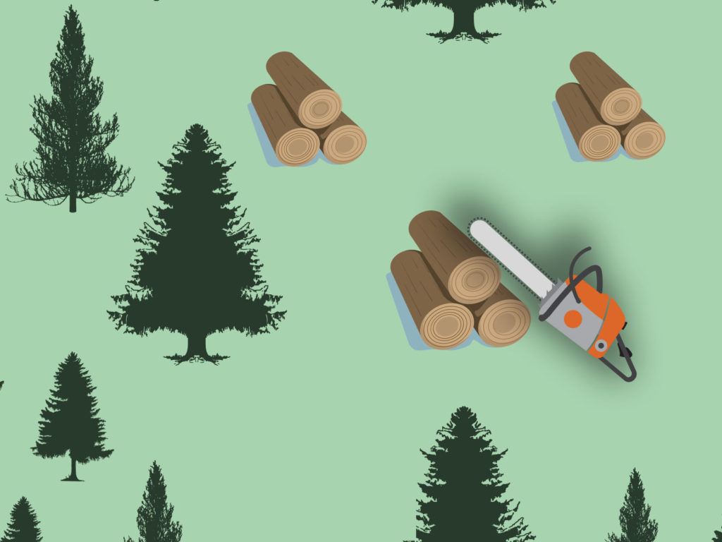 Pine Forest and Whipsaw Backgrounds | Brown, Green, Nature Templates | Free  PPT Grounds and PowerPoint