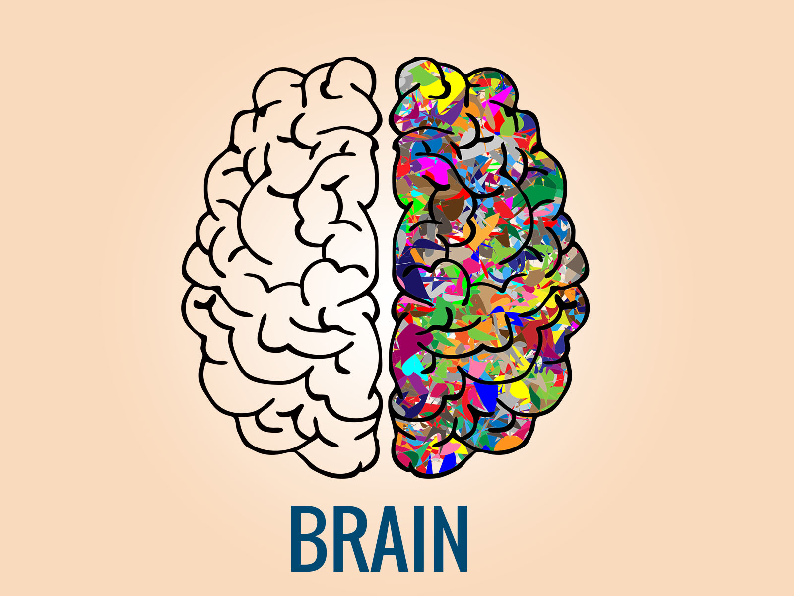 Brain Backgrounds | Health Templates | Free PPT Grounds